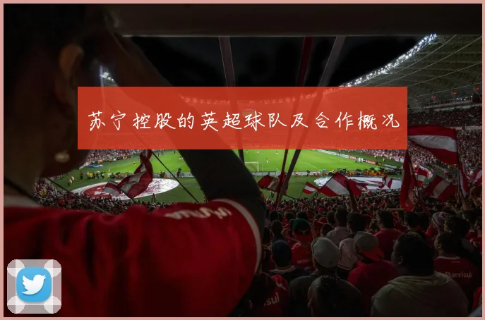 苏宁控股的英超球队及合作概况