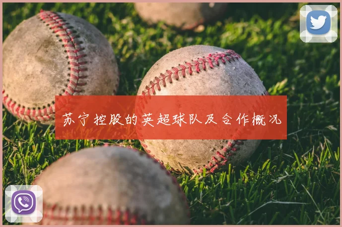 苏宁控股的英超球队及合作概况