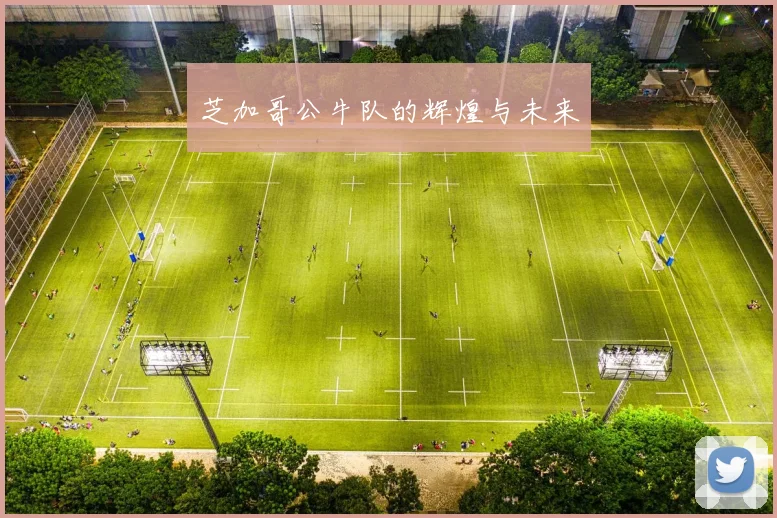 芝加哥公牛队的辉煌与未来